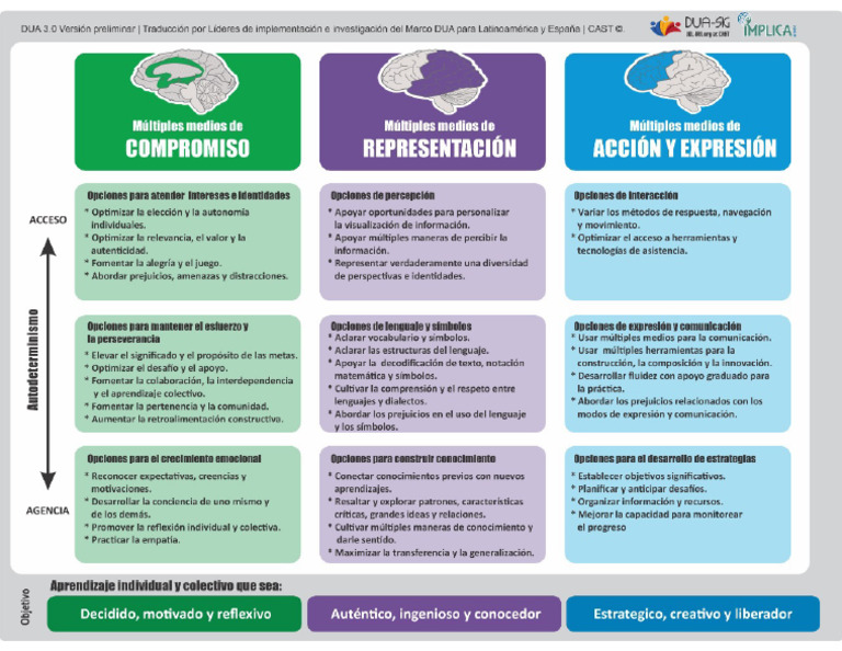 DUA Versión 3 | PDF