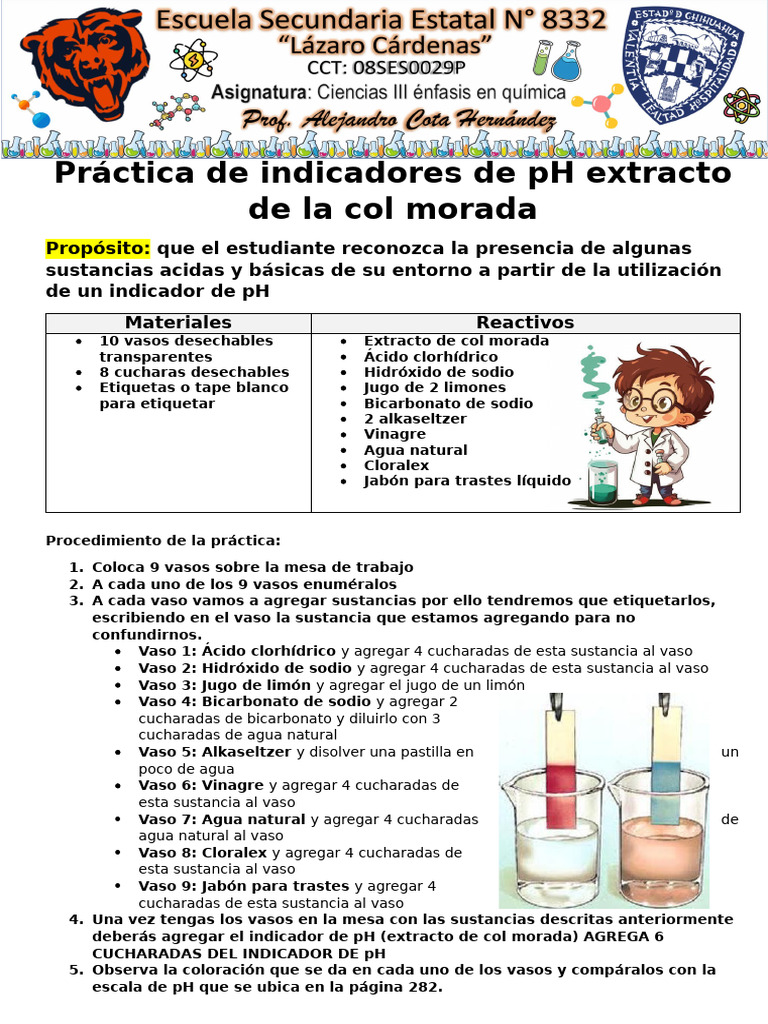 Práctica de pH con col morada | PDF