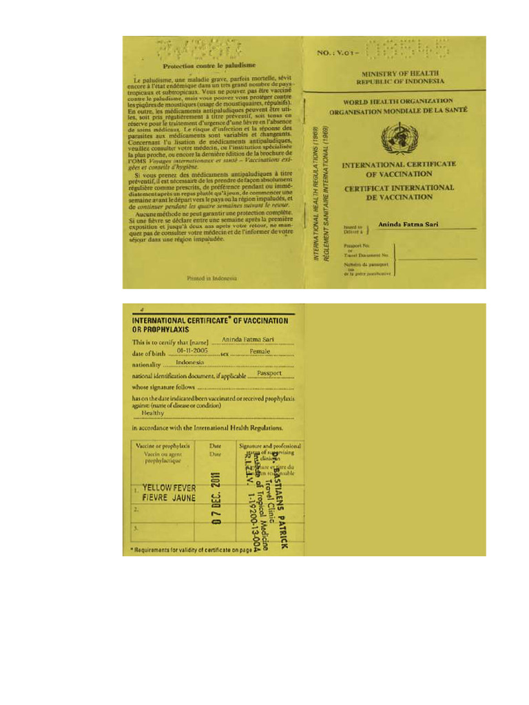 Yellowcard (Surat Kesehatan) | PDF