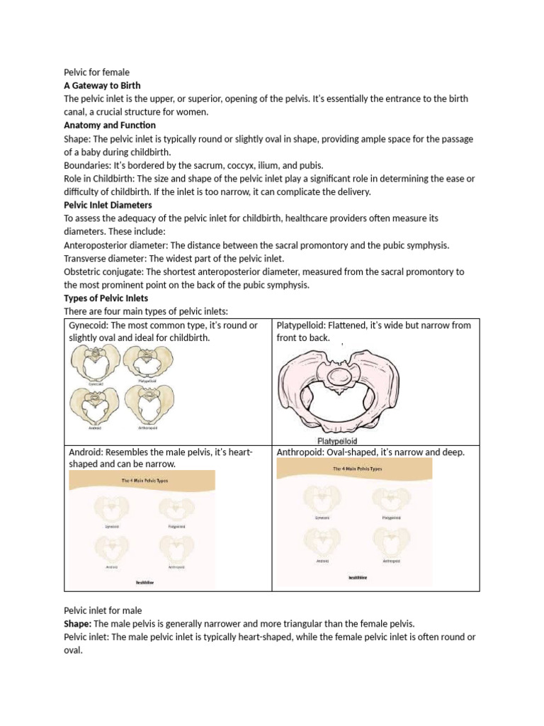 Pelvic Inlet | PDF