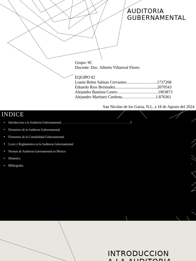 AUDITORIA GUBERNAMENTAL Nuevo | PDF