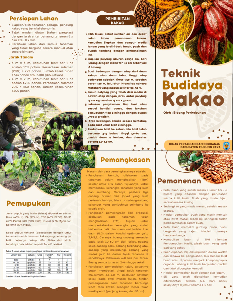 Budidaya Kakao-1 | PDF