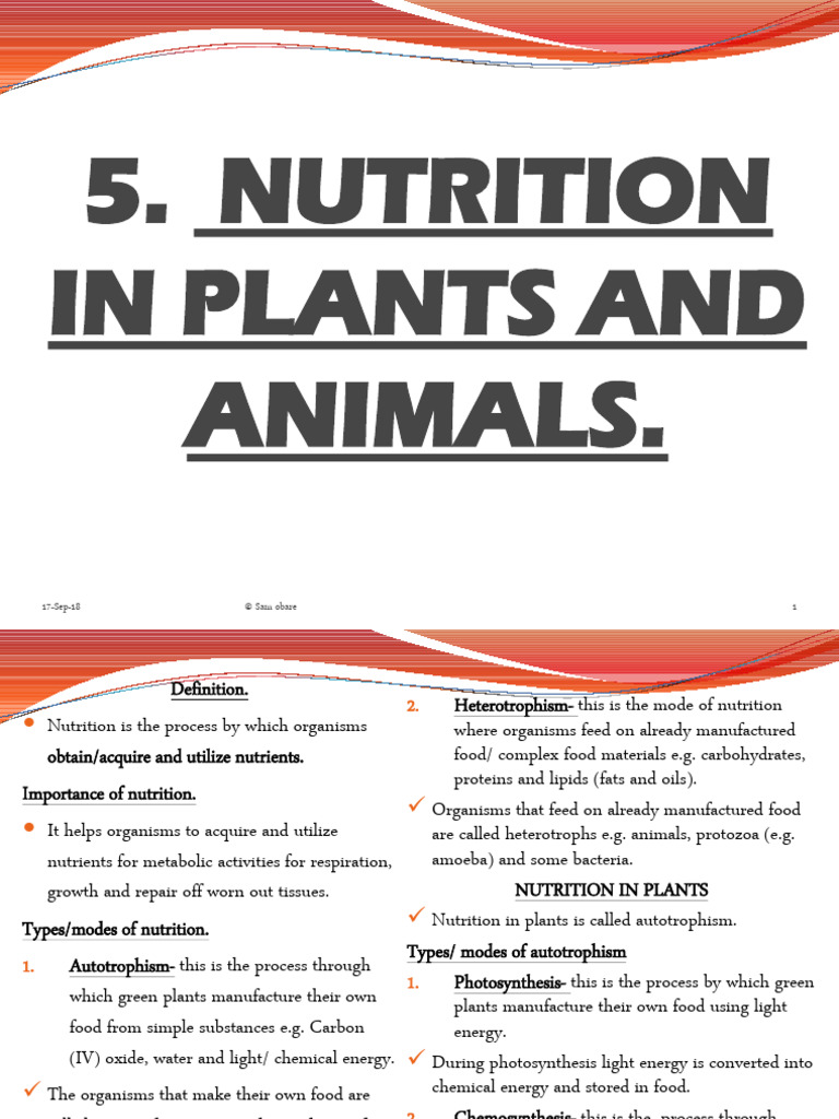 F1 Bio Notes On Nutrition | PDF