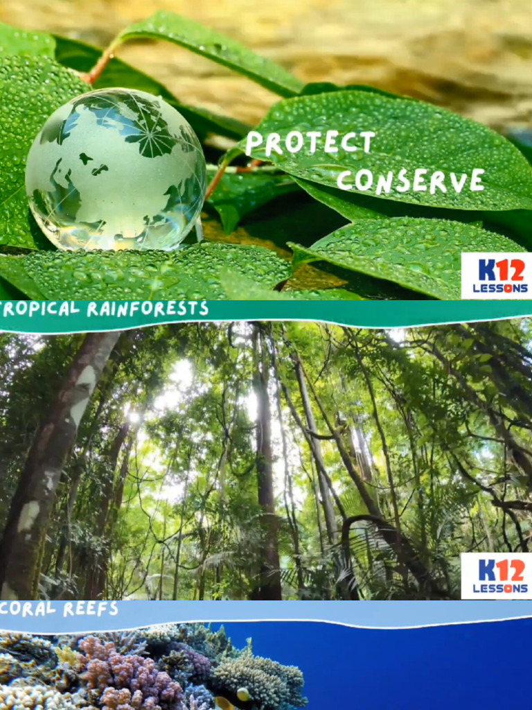 Protection and Conservation of The Ecosystem | PDF
