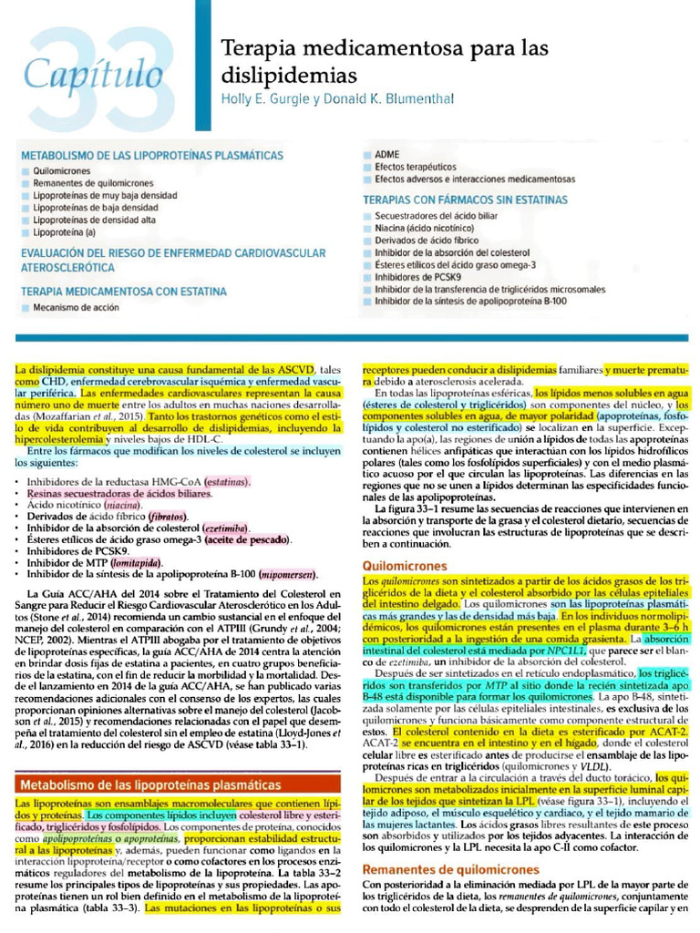 Capitluo 33 | PDF
