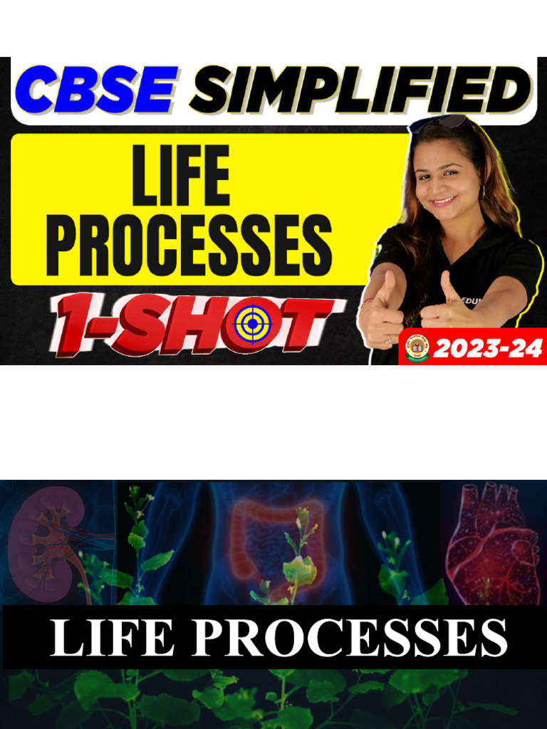 Life Processes One Shot Revision | PDF