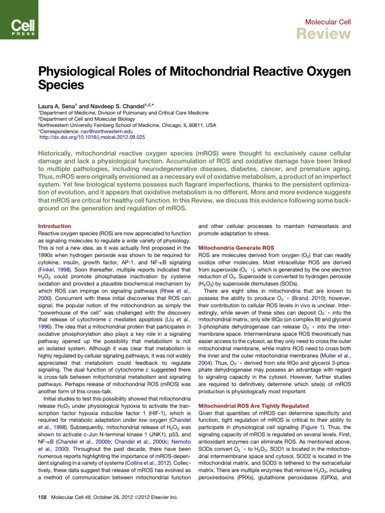 Physiological Roles of Mitochondrial Reactive Oxygen | PDF