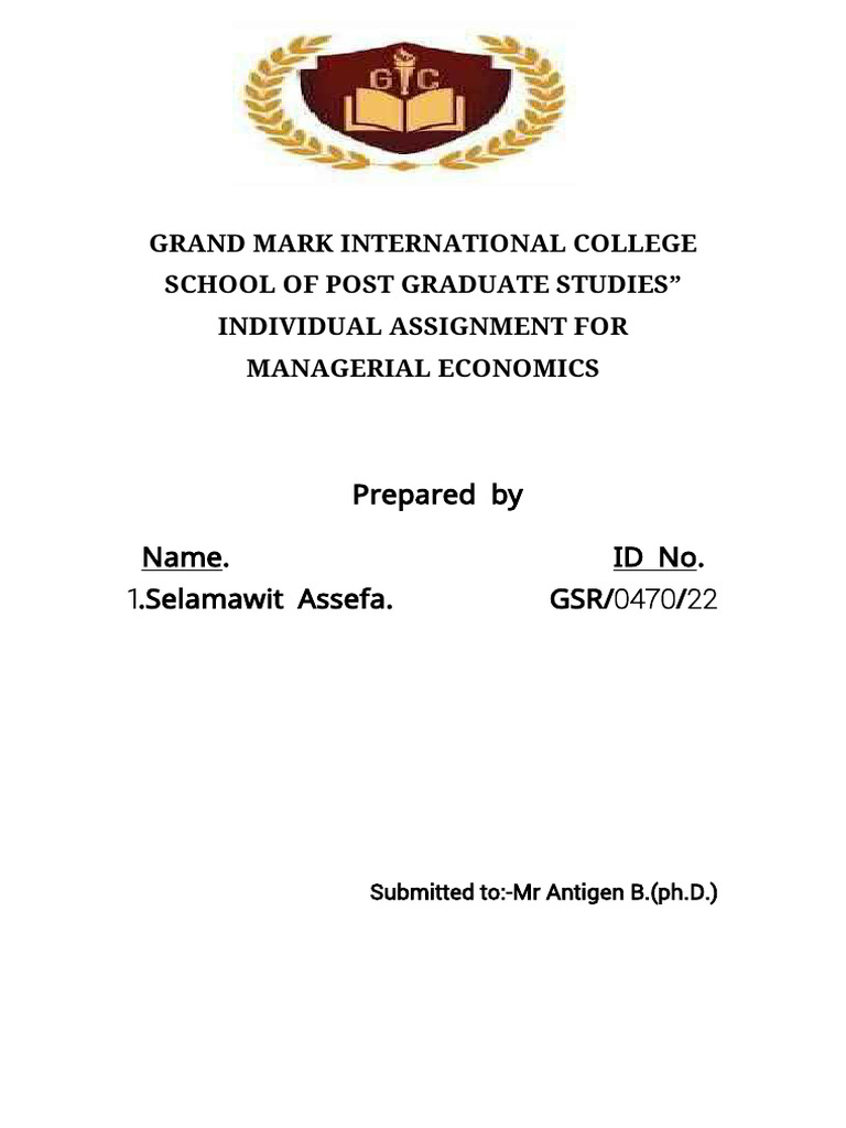 Selamawit ME Individual Assignment | PDF