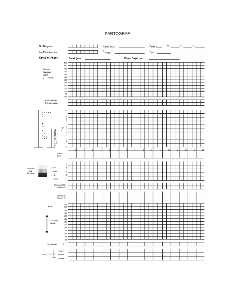 pdf-partograf-kosong | PDF