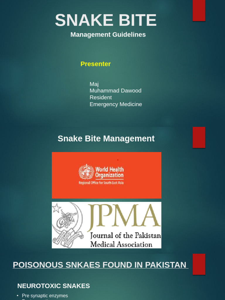 Snake Bite | PDF