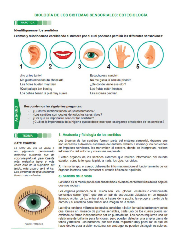Trabajo para 2do de Secundaria | PDF