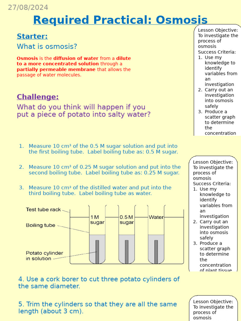 Lesson 8 - Osmosis RP | PDF