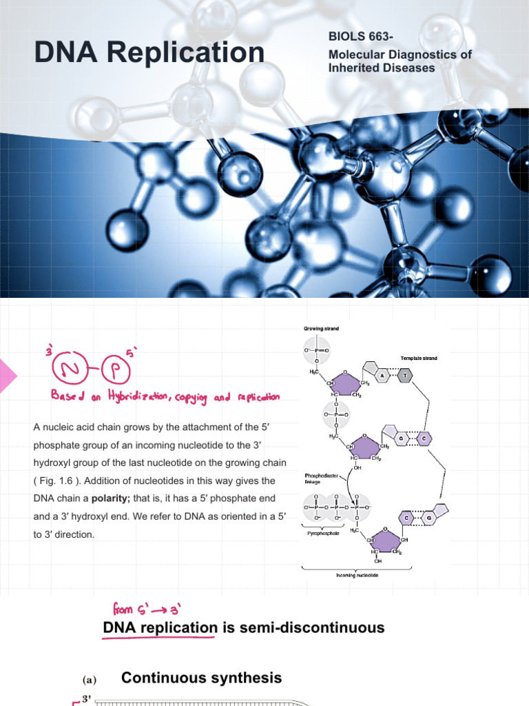 1 CH 1 & 2 DNA Replication & Gene Expression | PDF