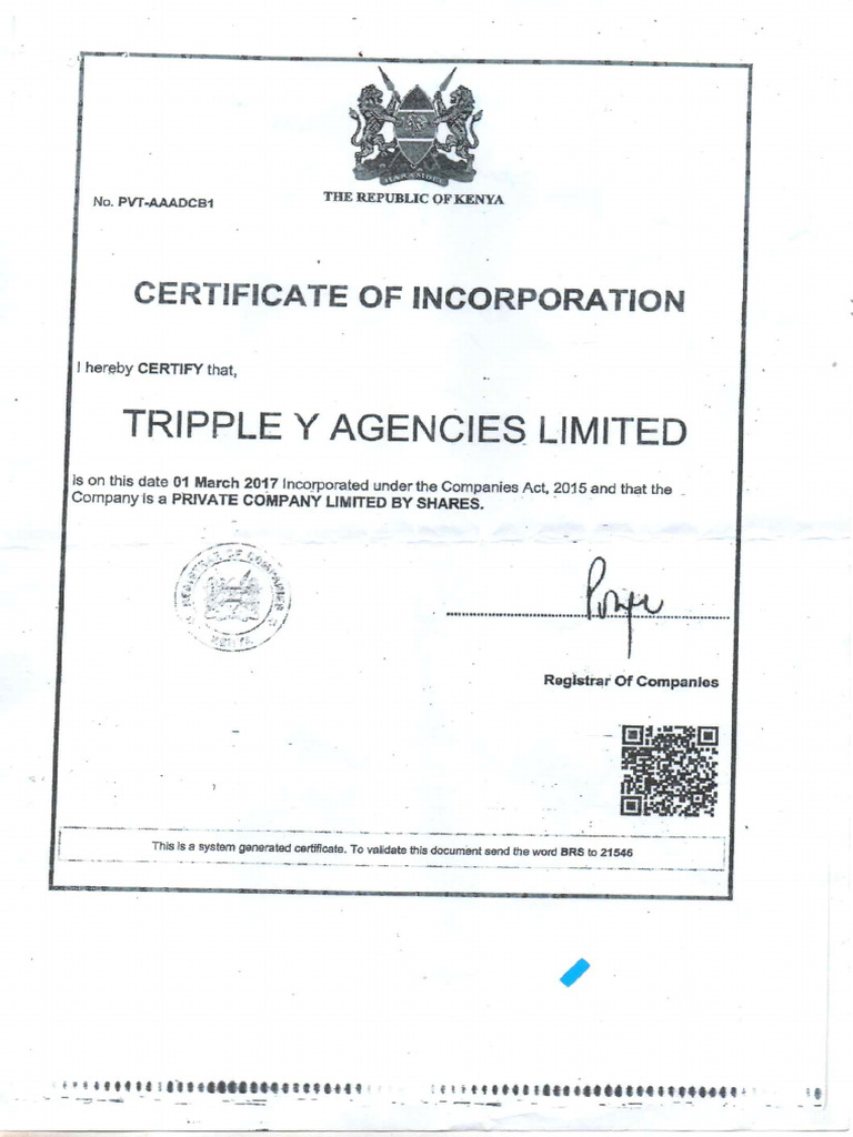 Tripple y LTD Documents | PDF