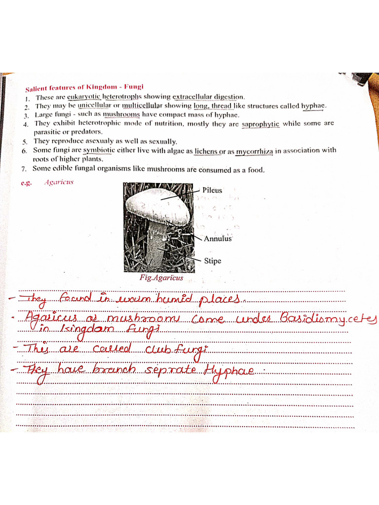 Biology Practical Experiment No 2 Pdf