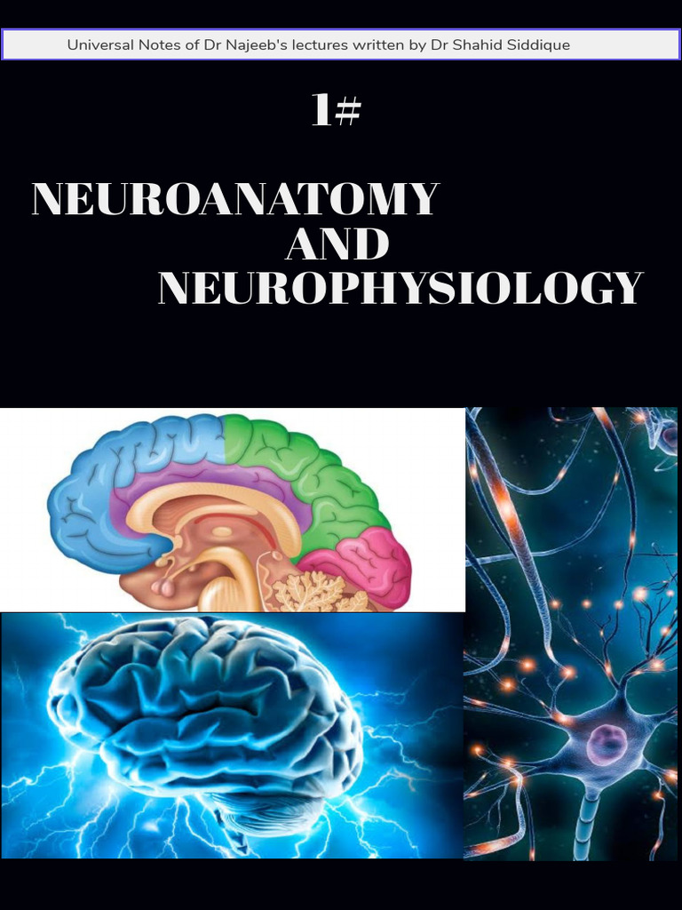 Neuroanatomy& Neurophysiology | PDF