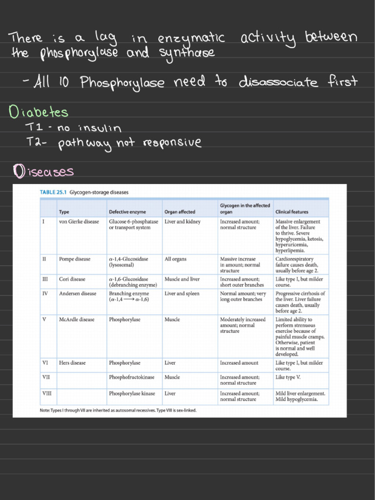 Exam 5 Review | PDF