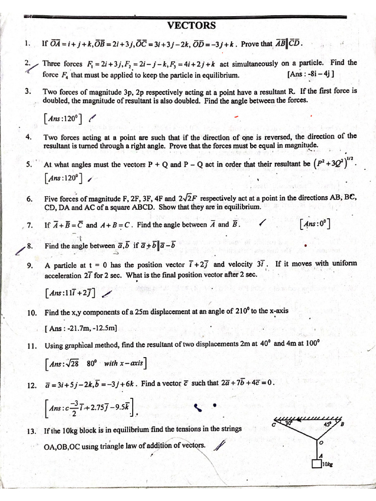 Physics Vectors Worksheet | PDF