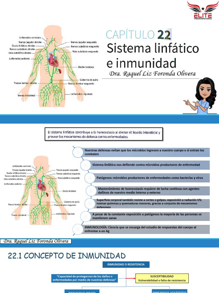 22 Sistema Linfatico E Inmunidad 15va Edición Pdf