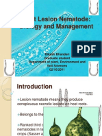 Final Nematode