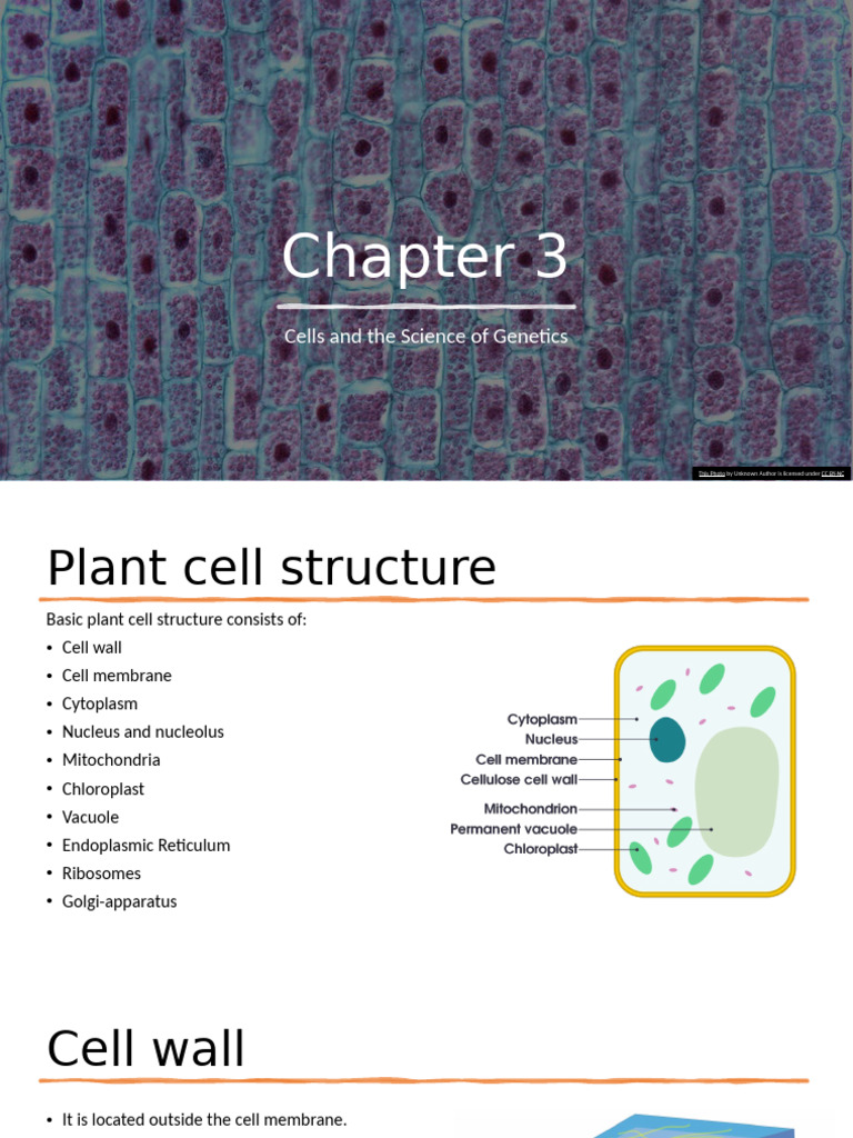 Chapter 3 | PDF