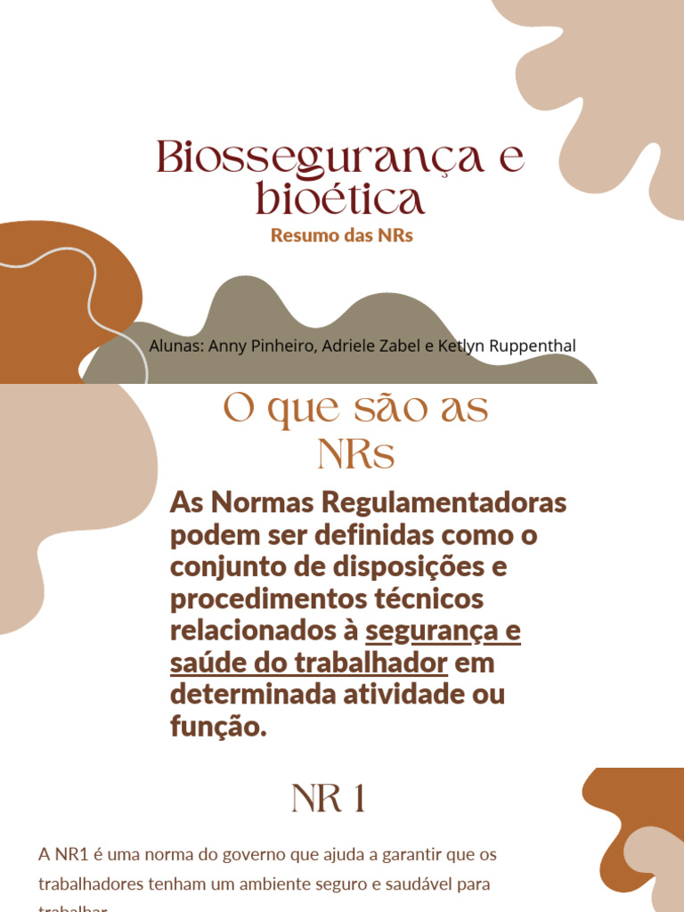 Resumo NRs | PDF