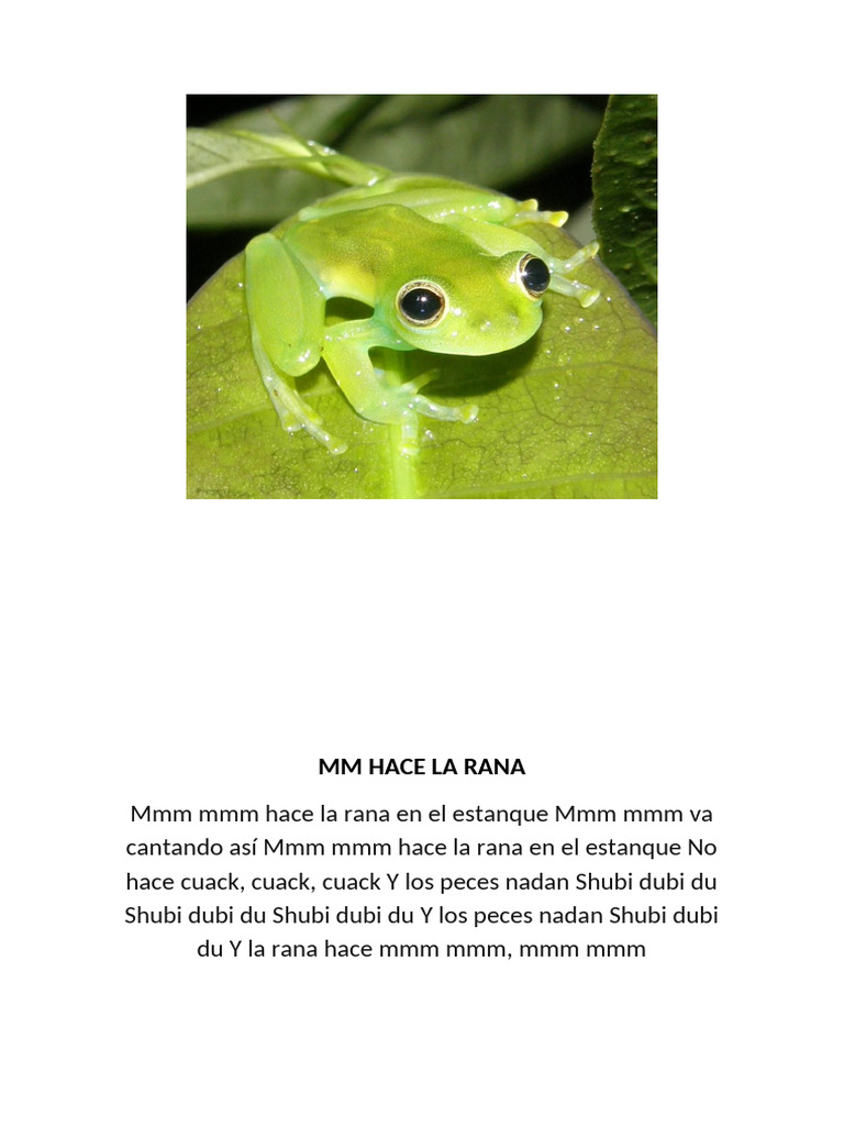 Rana Cancionero | PDF