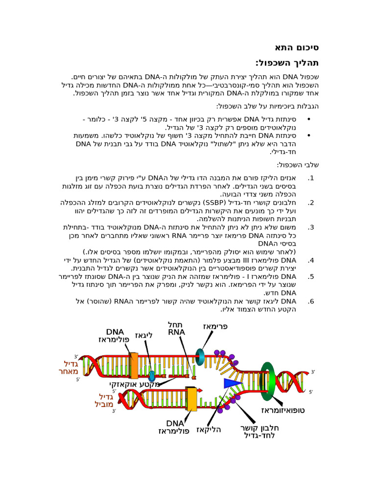 סיכום קורס התא מבנה ופעילת | PDF