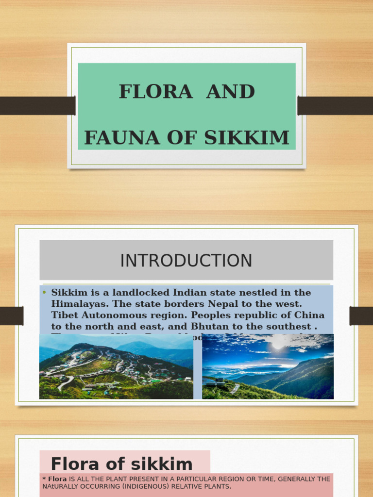 Flora and | PDF