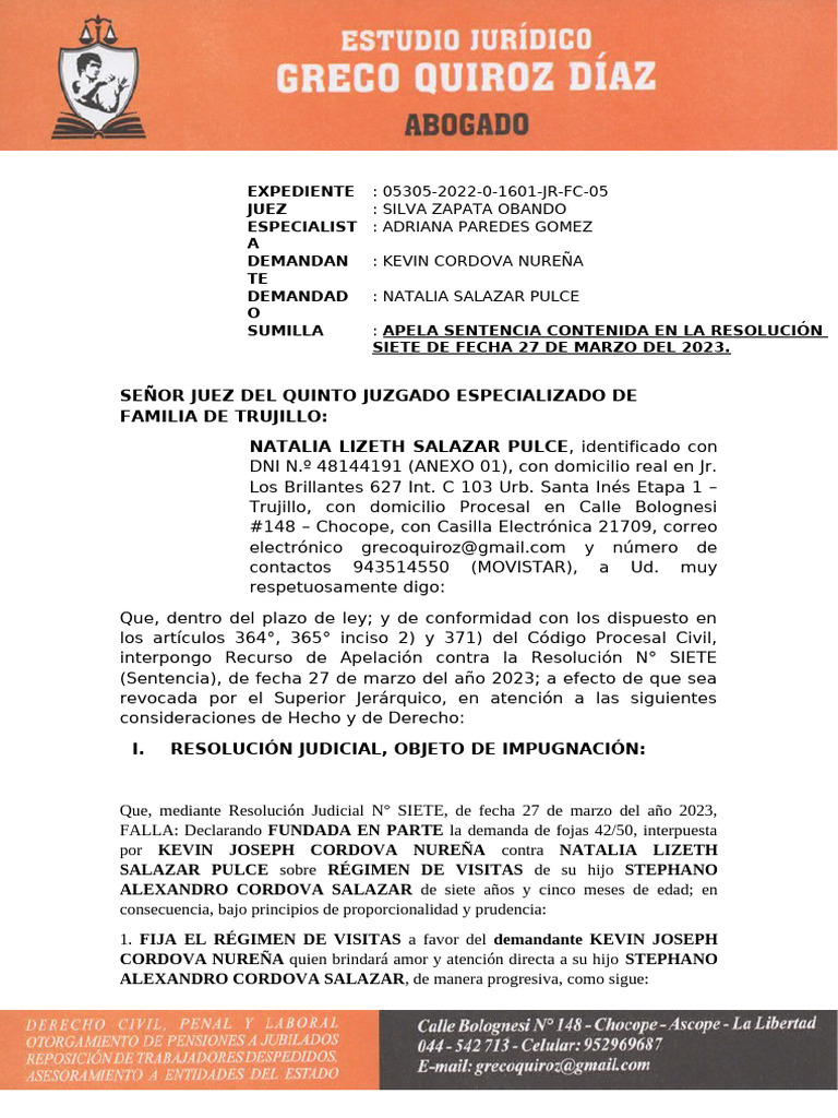 Apelación de Régimen de Visitas | PDF | Ley procesal | Derecho