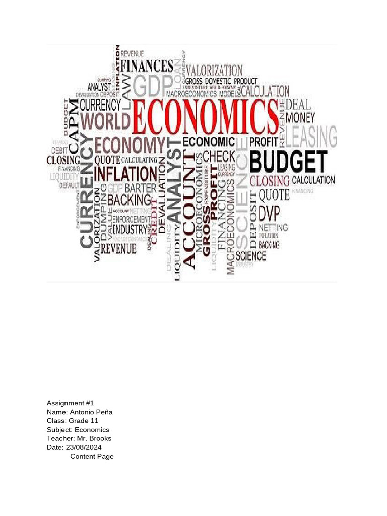 Economics Assignment | PDF | Socioeconomic Status | Economics