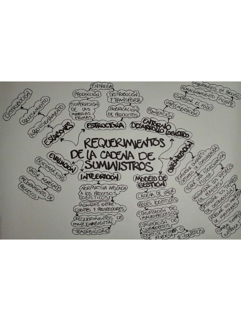 Mapa Mental Requerimientos de La Cadena de Suministros | PDF