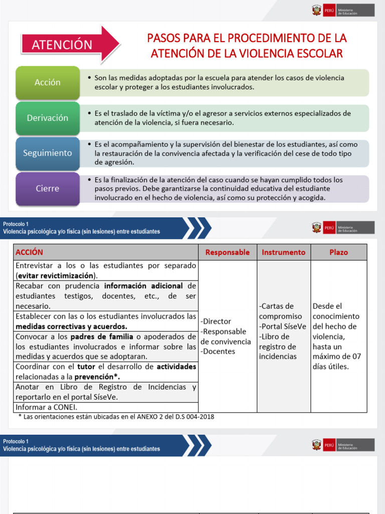 Protocolo de Atención a la Violencia Escolar | PDF | Violencia | Sicología