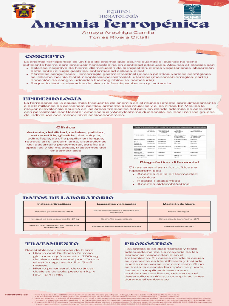 infograf-a-anemia-ferrop-nica-pdf