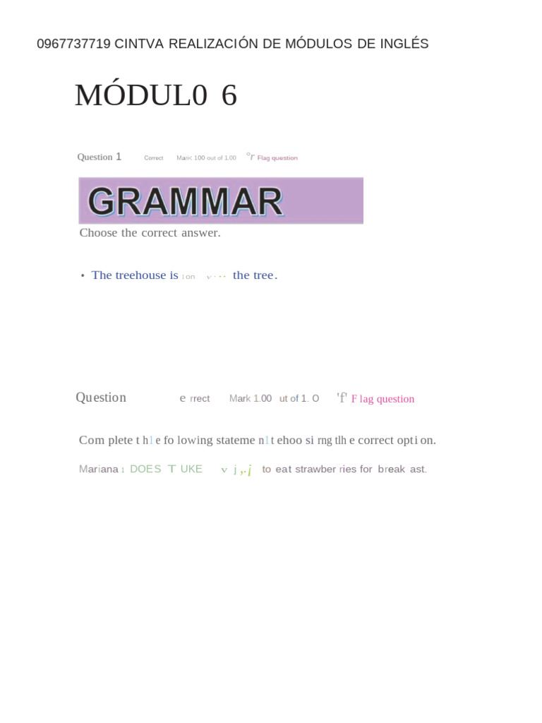 Módulo 6: Ejercicios de Inglés | PDF