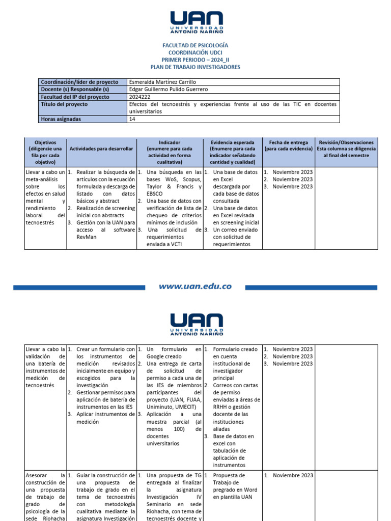 Pulido Formato Plan de Trabajo Participación en Proyectos 2024-II VCTI ...