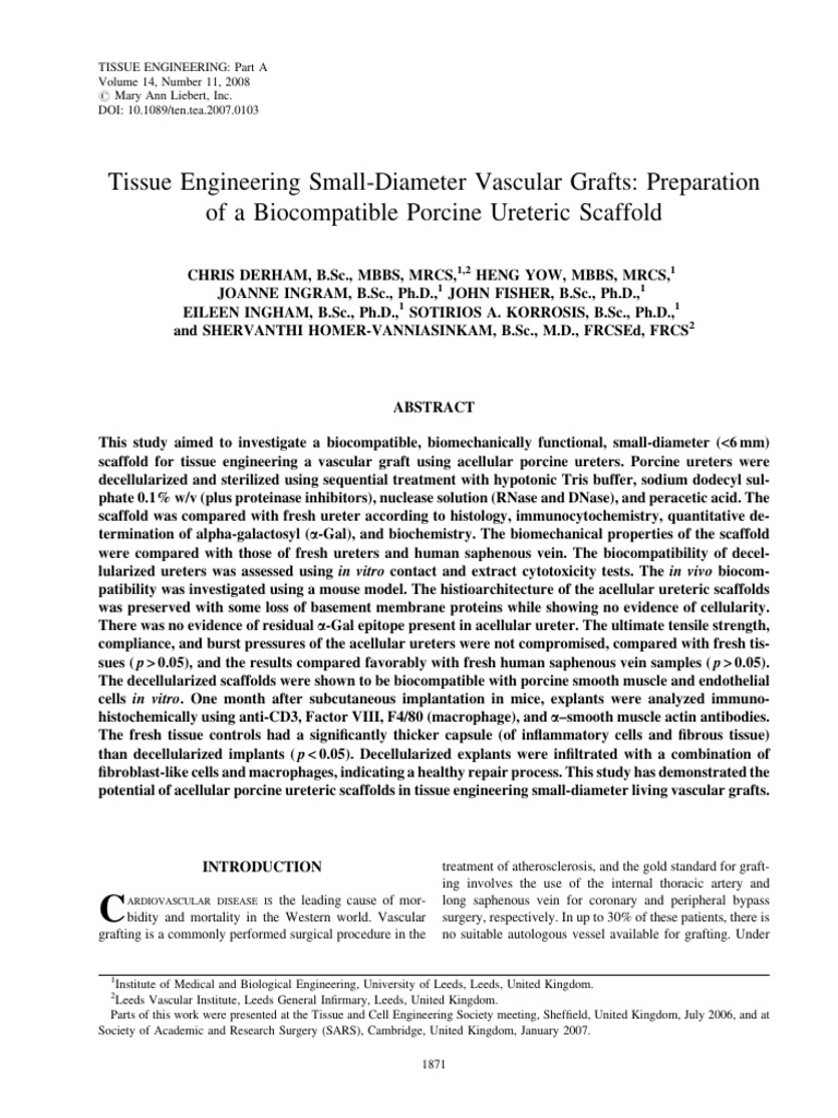 Tissue Engineering Small-Diameter Vascular Grafts Preparation | PDF