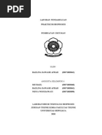 Download CHITOSAN IYOENG by Yuliana Yang SN76337394 doc pdf