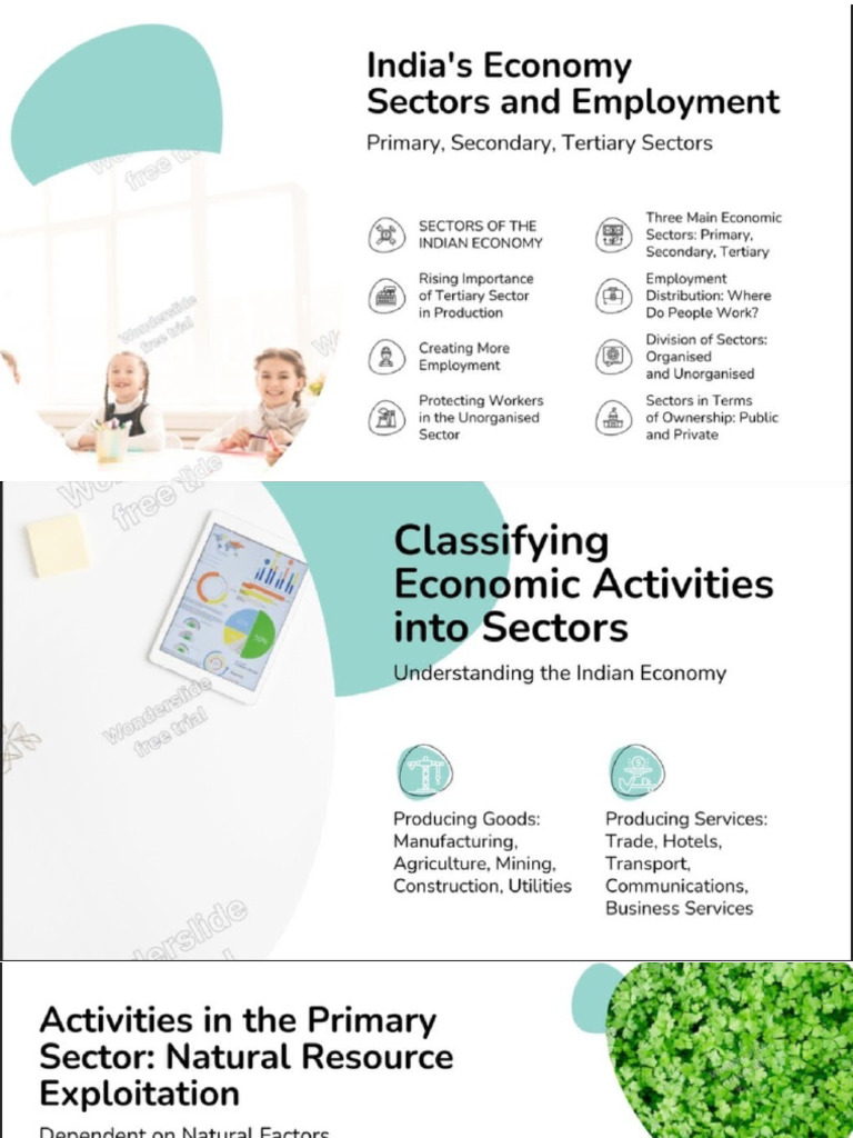 10.2 Sectors of Indian Economy | PDF