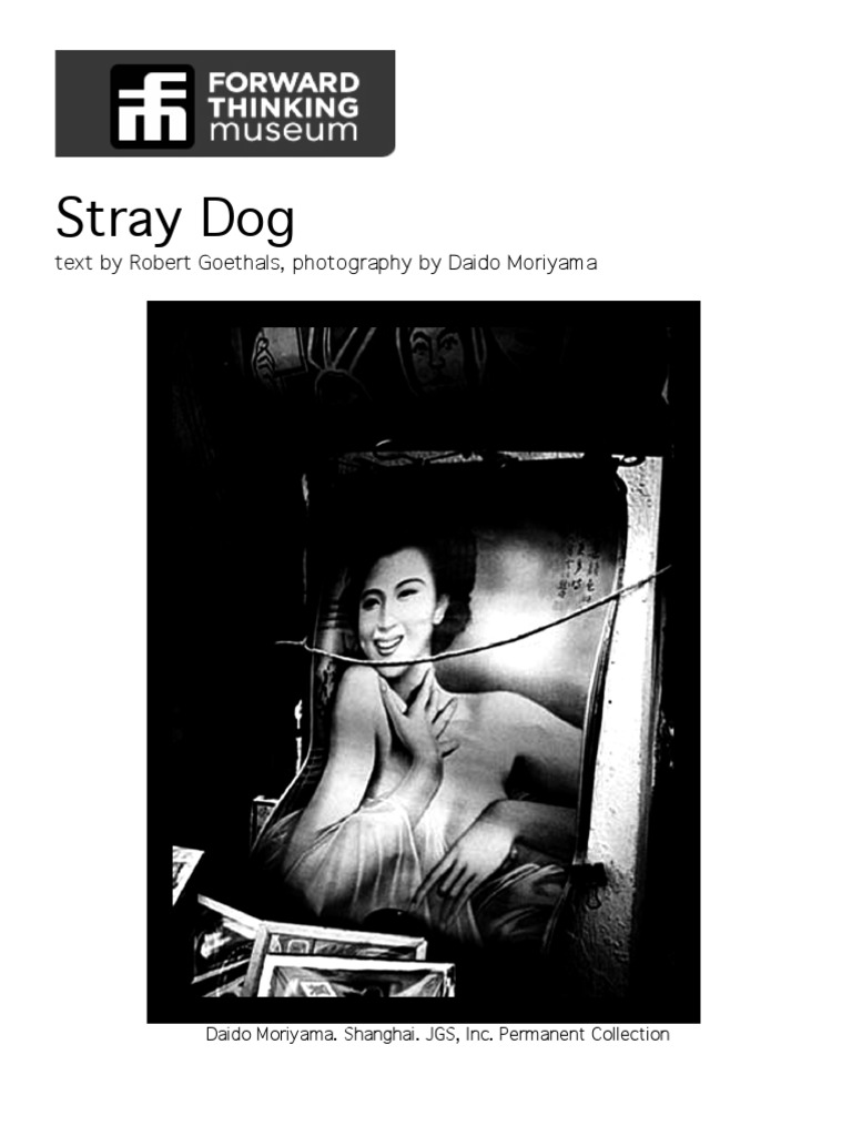 Daido Moriyama's Stray Dog Photography | PDF | Art Media