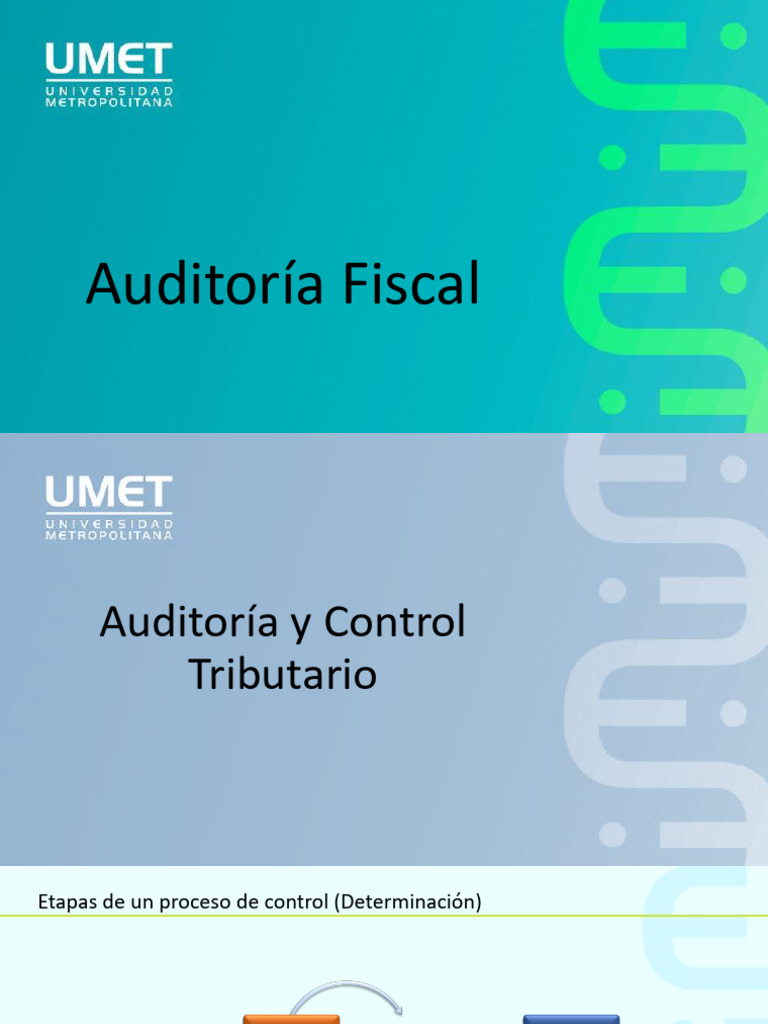 Presentación - Auditoría Fiscal | PDF