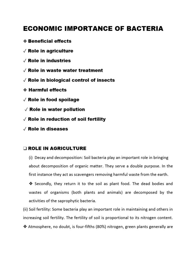 luo-research-work-pdf