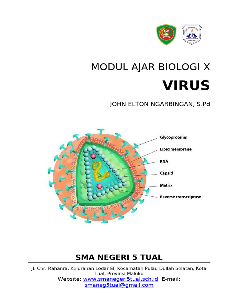 RPP Virus | PDF