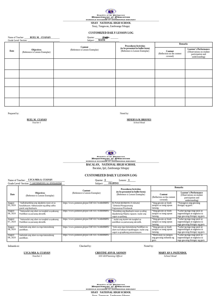 Customized Daily Lesson Log | PDF