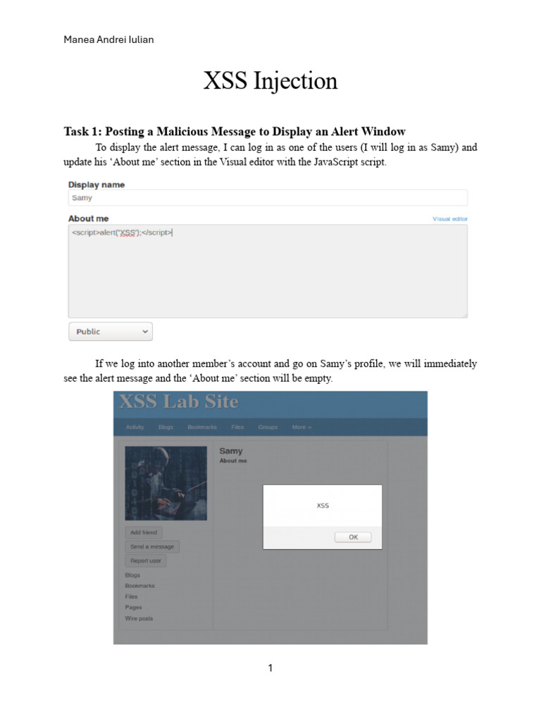 XSS Injection | PDF
