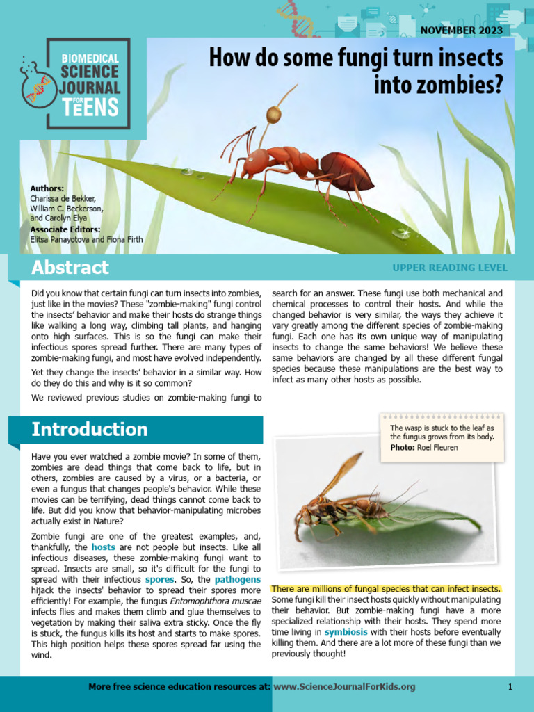 Zombie Article | PDF