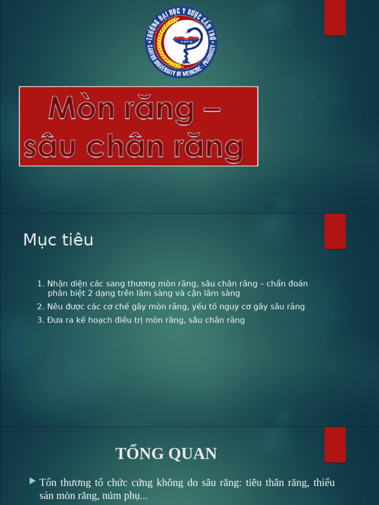 Mon Sau Co Rang | PDF