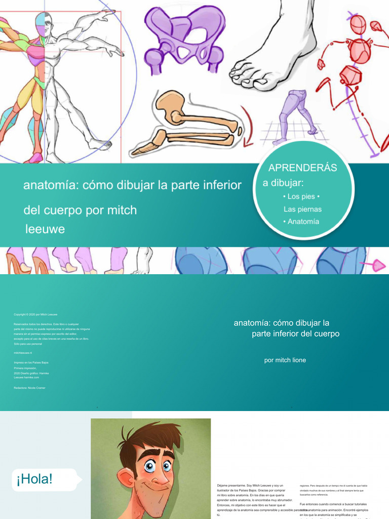 Anatomia Parte Inferior Del Cuerpo | PDF