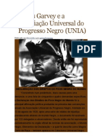 Marcus Garvey e a Associação Universal do Progresso Negro