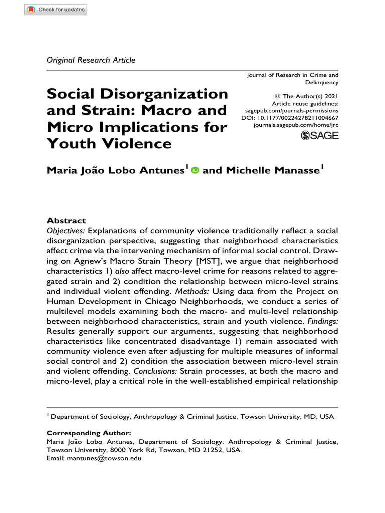 Youth Violence: Strain and Neighborhood Impact | PDF | Violence ...